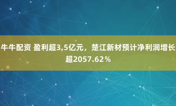 牛牛配资 盈利超3.5亿元，楚江新材预计净利润增长超2057.62％