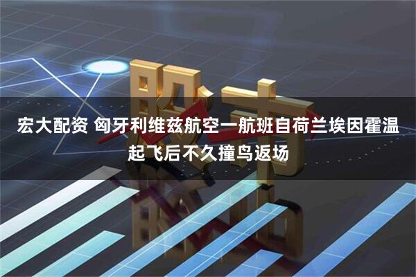 宏大配资 匈牙利维兹航空一航班自荷兰埃因霍温起飞后不久撞鸟返场